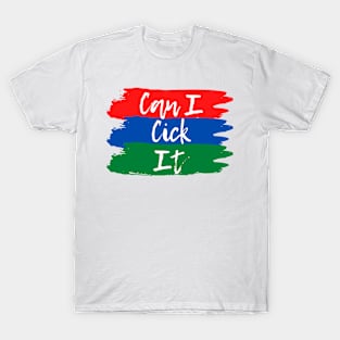 Can I Kick It? T-Shirt